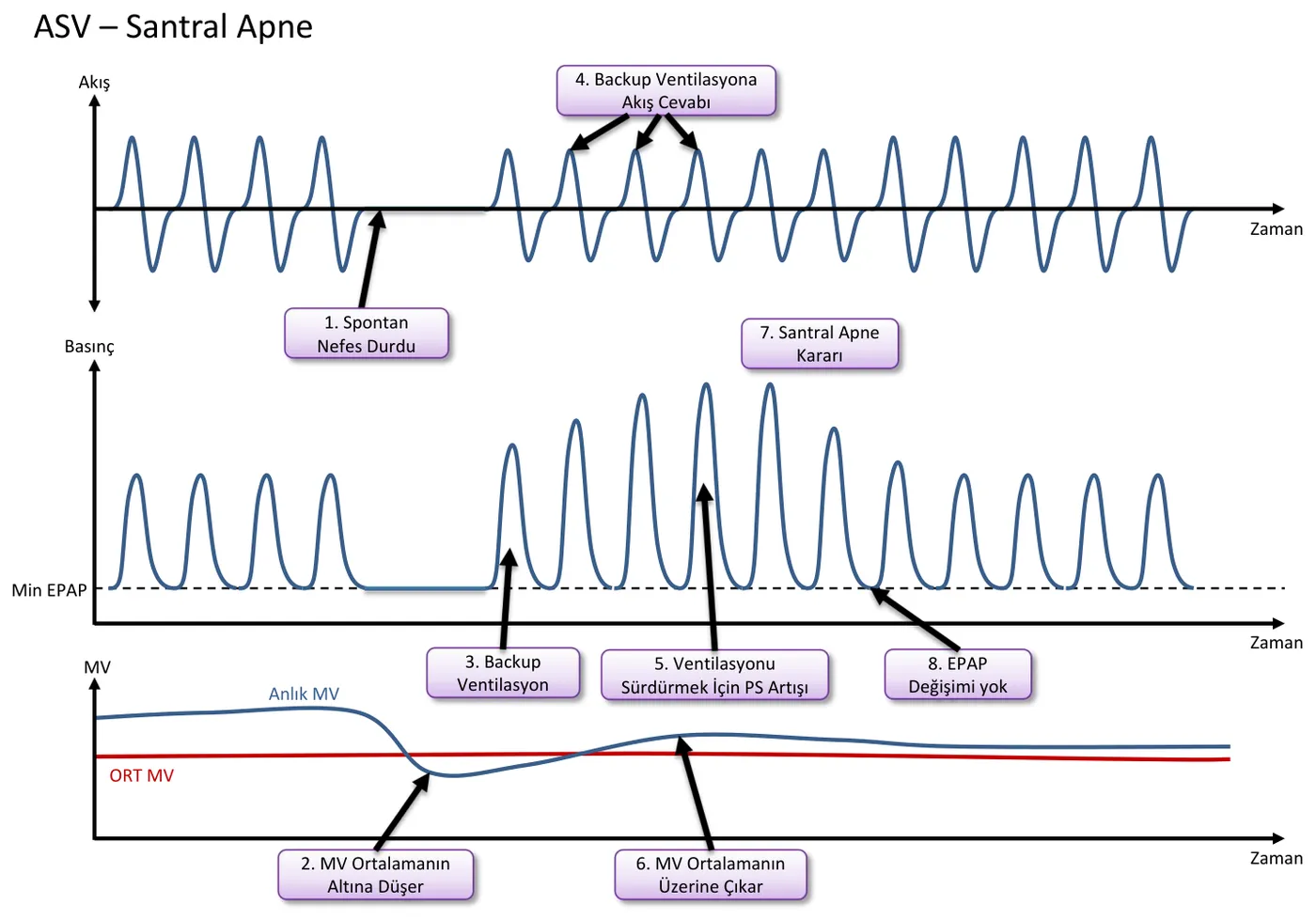 Santral apne