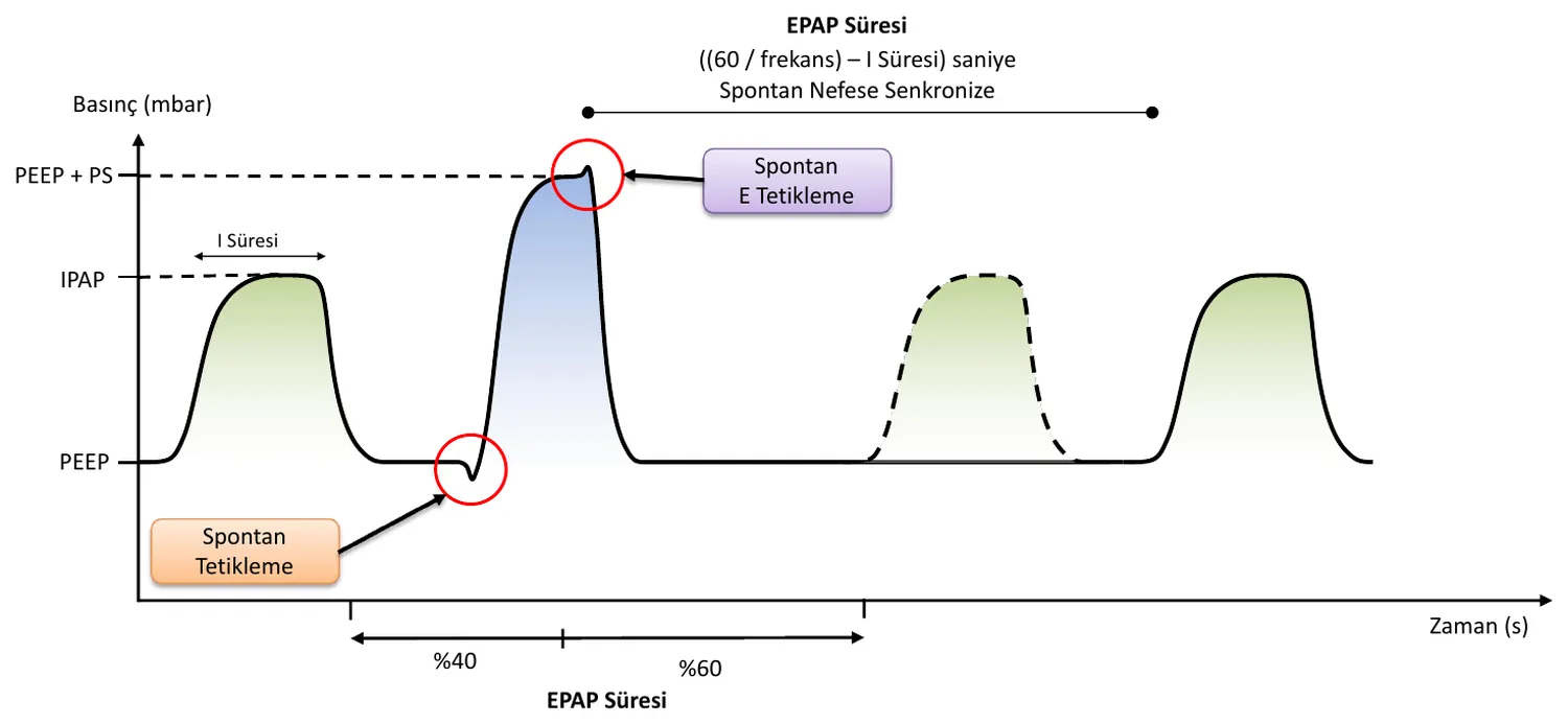 Spontan pencere — EPAP süresinin ilk %40’ı.
